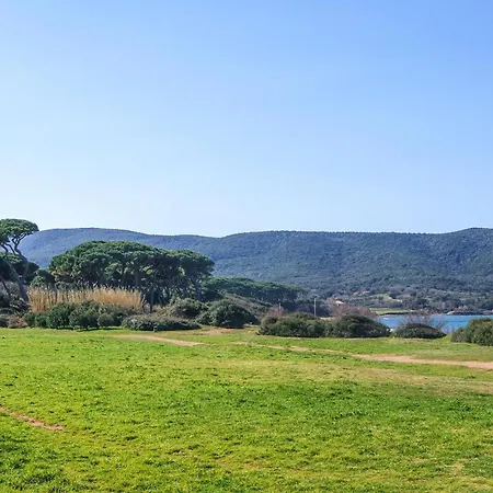 Appartement Pet Friendly In With Wifi Suvereto